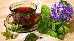 Improve your sleep with herbal tea: which calming herbs are truly effective?
