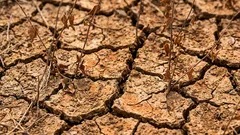 When the earth says “enough”: signs that it's time to leave the garden alone